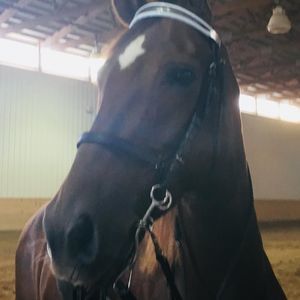 Meet your Posher, Dana